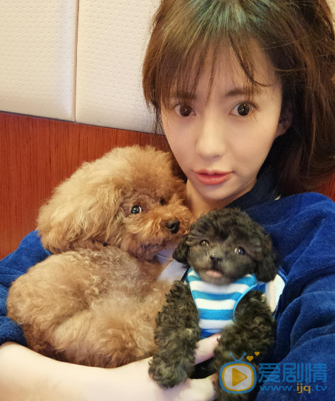  孤芳不自賞燕十三娘是誰演的？燕十三娘扮演者劉萌萌個人資料簡介