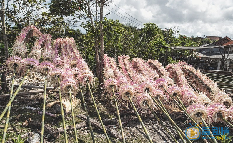 霍建華林心如大婚  婚禮場地浪漫溫馨