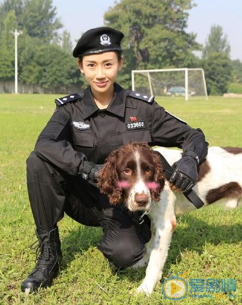 金美伶個人資料介紹 金美伶《警花與警犬》劇照 警花與警犬劇情介紹
