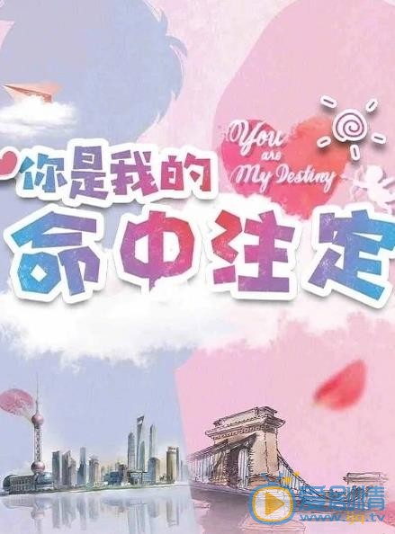 你是我的命中注定劇情介紹 你是我的命中注定劇照