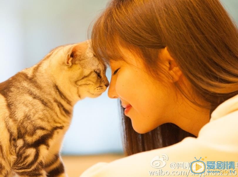 西西弗斯的料理劇情介紹