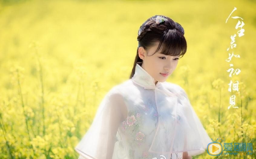 人生若如初相見劇照