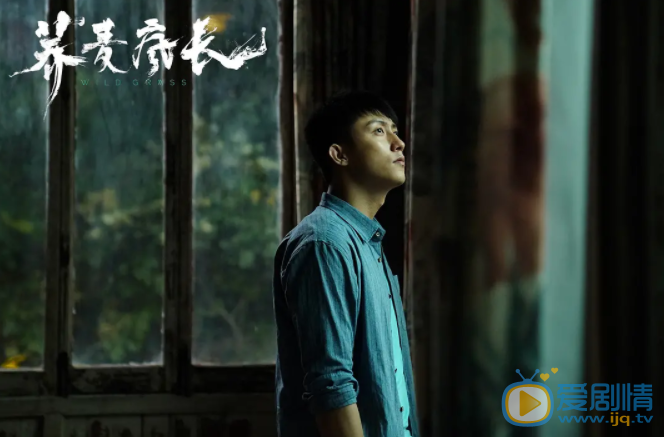 蕎麥瘋長劇情介紹 蕎麥瘋長劇照