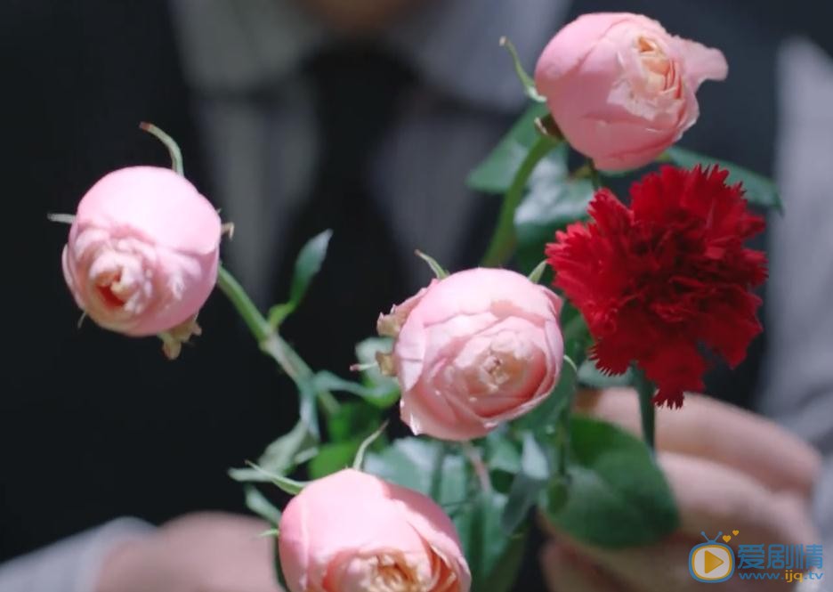 一千零一夜柏海為什麼送凌凌七橙色玫瑰？橙色玫瑰有什麼意義？