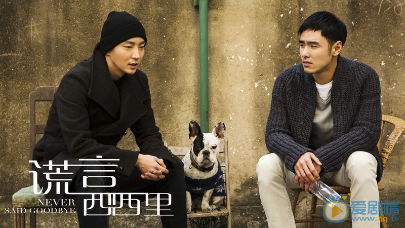 網友對謊言西西里的評價怎么樣？