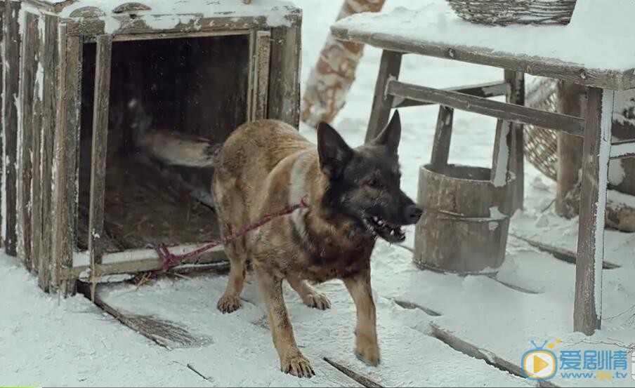 最美的青春小六兒有沒有被殺掉？小六死了嗎？