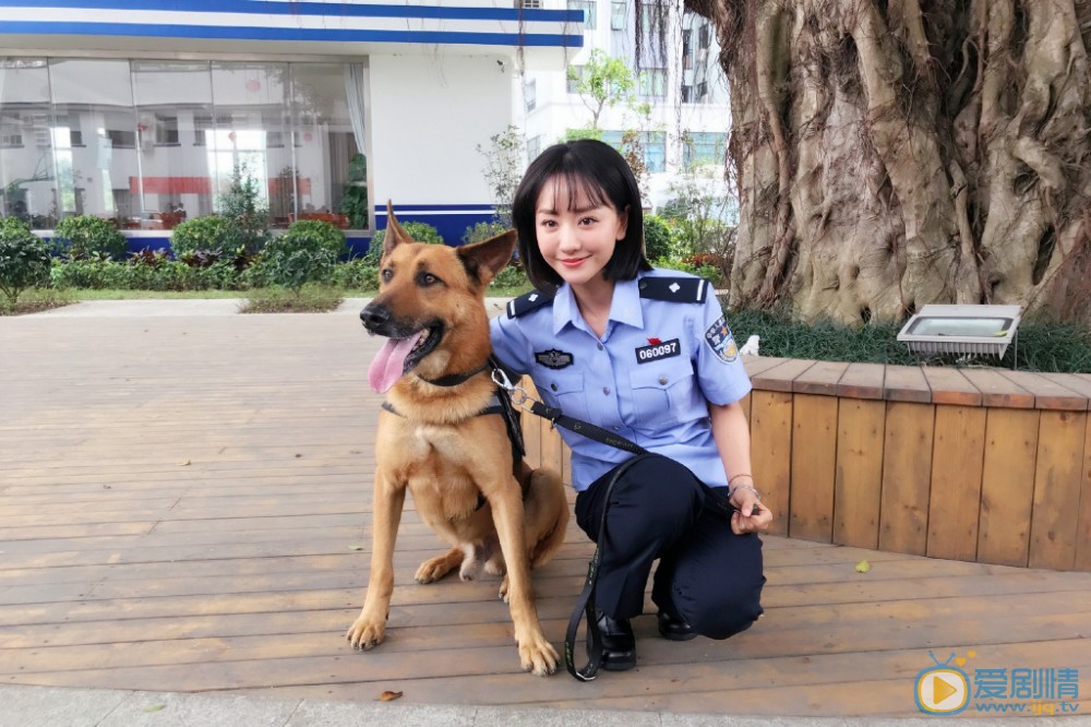 警犬來啦劇照