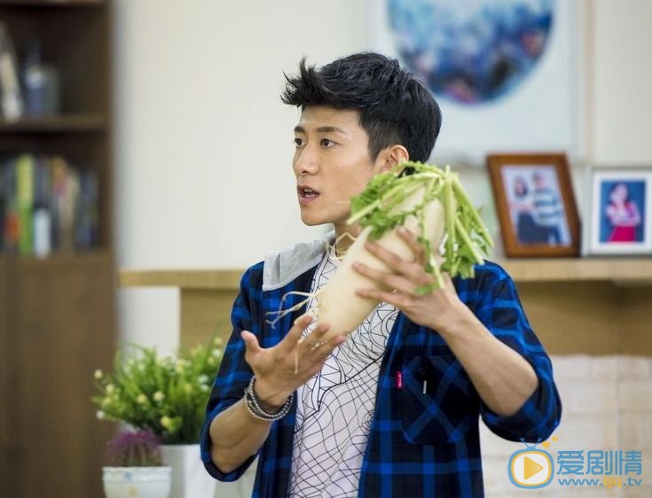 家有兒女初長成和家有兒女是什麼關係?家有兒女初長成是家有兒女第二部嗎?