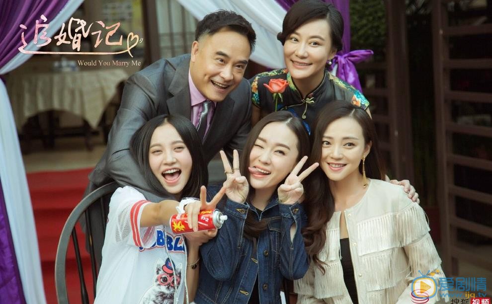 追婚記劇情介紹 追婚記劇照