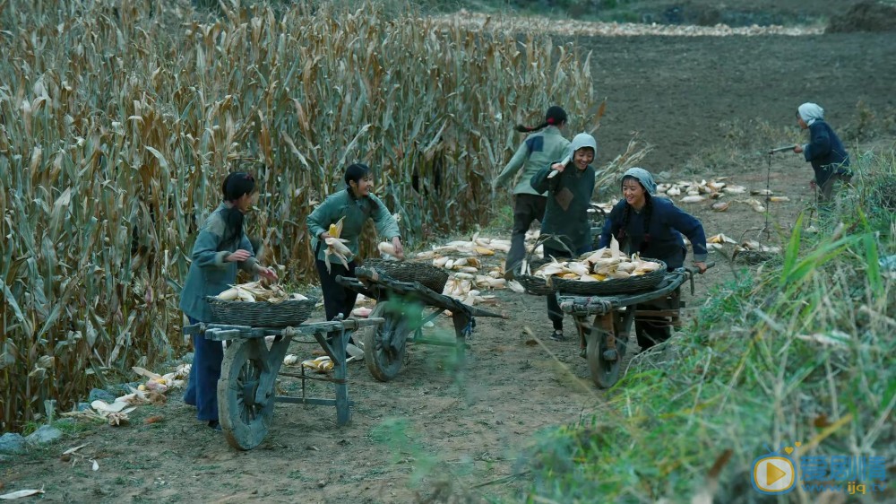 51d1-05a471cd018991b9d60c35c3912d5afe