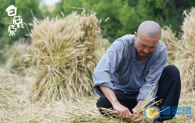  電視劇白鹿原曝體驗生活特輯  張嘉譯秦海璐男耕女織