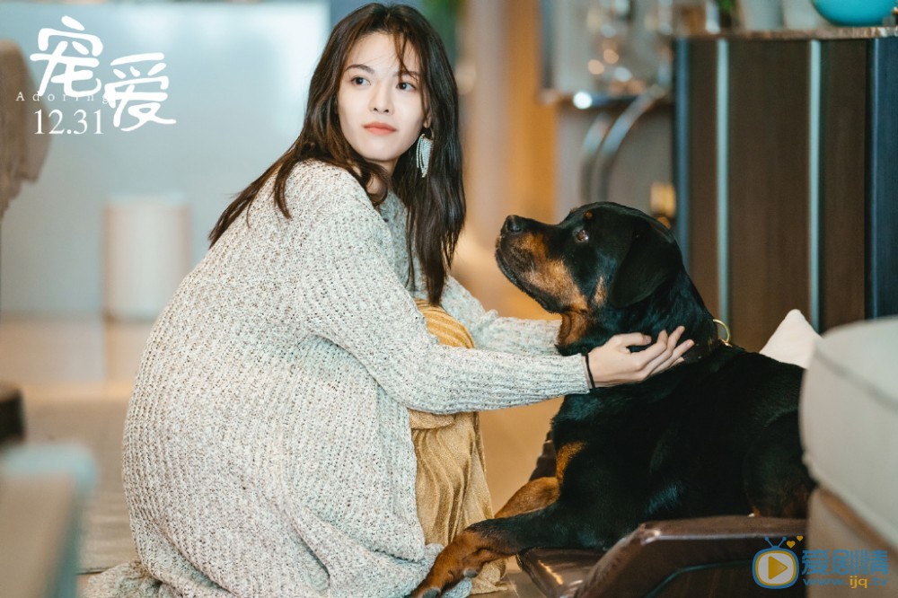 《寵愛》電影劇情介紹