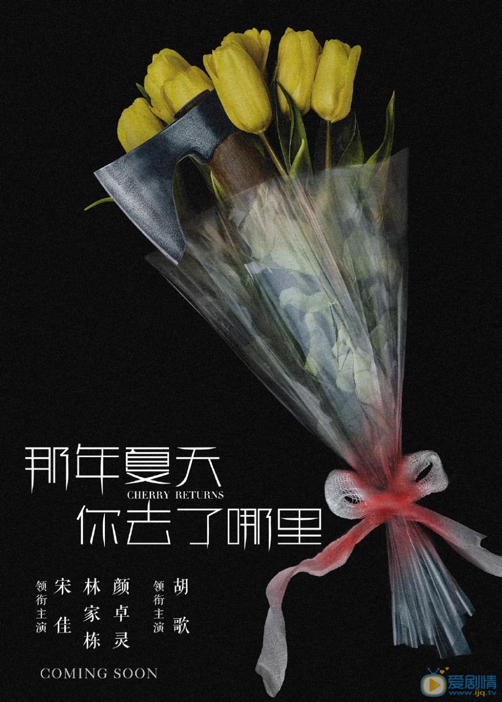 那年夏天你去了哪裡什麼時間播_那年夏天你去了哪裡播出時間