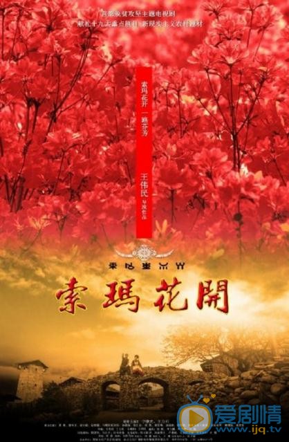 索瑪花開劇情介紹