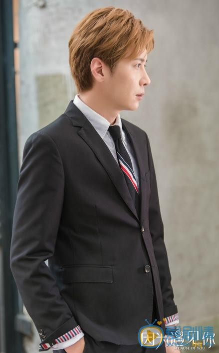 因為遇見你陸思琛結局是什麼?陸思琛和張雨欣復婚了嗎?