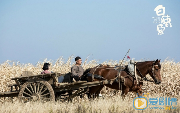  電視劇白鹿原曝體驗生活特輯  張嘉譯秦海璐男耕女織