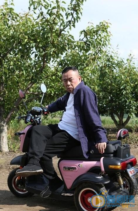 歡喜盈門劇情介紹