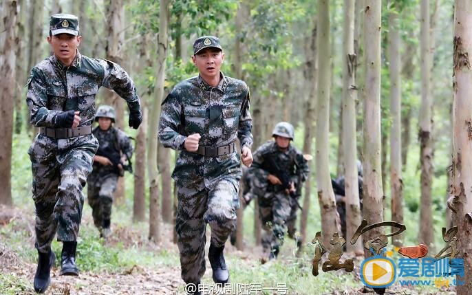 陸軍一號姜海訓練時米-117直升機墜毀的原因是什麼？是因為姜海的地空一體化訓練方案的設計有問題嗎？