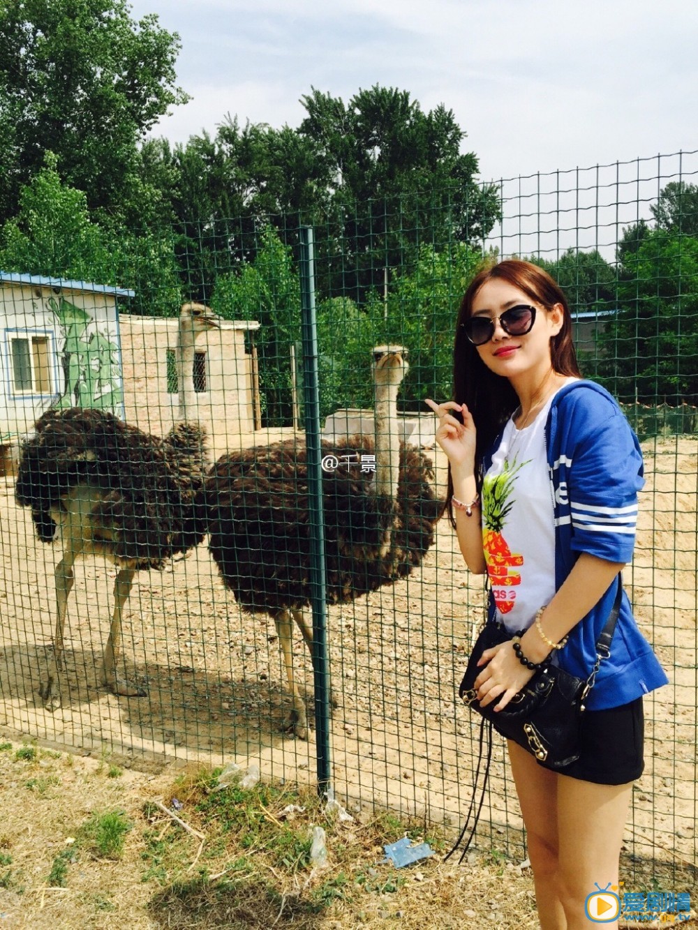 劉海戲金蟾迷迭扮演者千景生活照欣賞