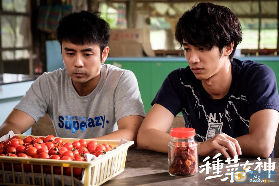 種菜女神什麼時間播_種菜女神播出時間