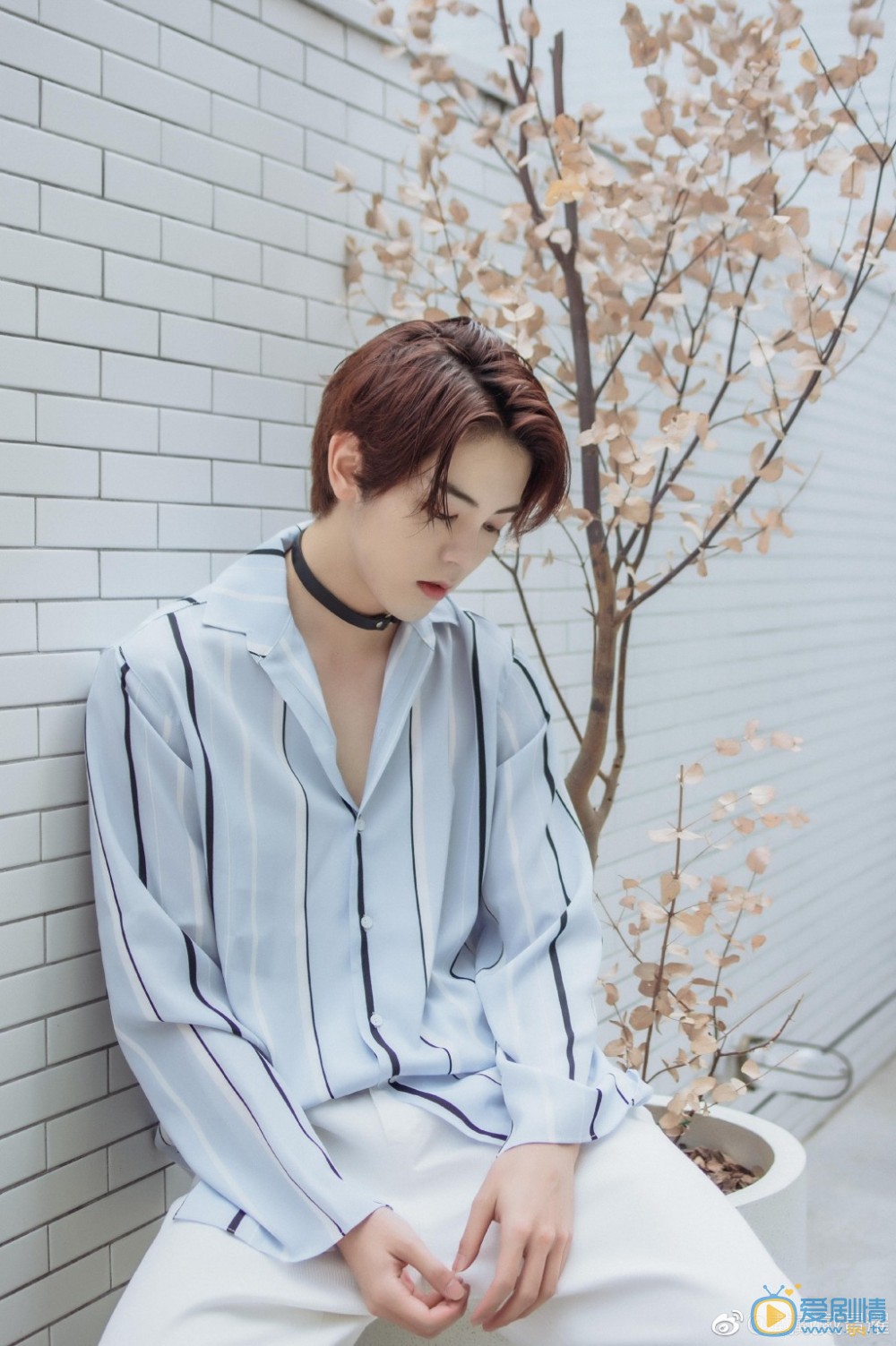 無法擁抱的你辛巴是誰演的？辛巴扮演者戴景耀個人資料及生活寫真照欣賞