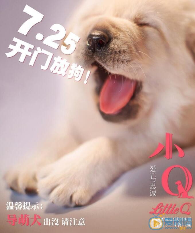 小Q海報