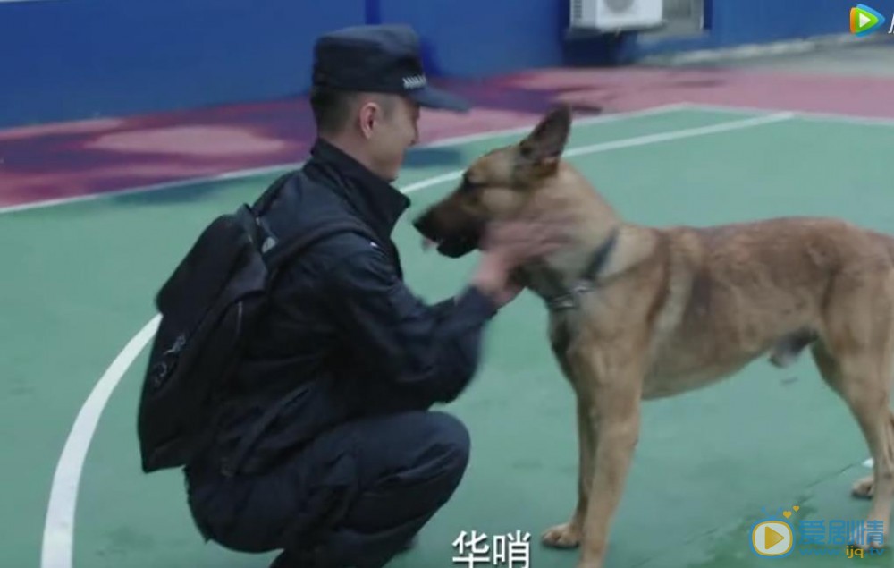 警犬來啦劇照
