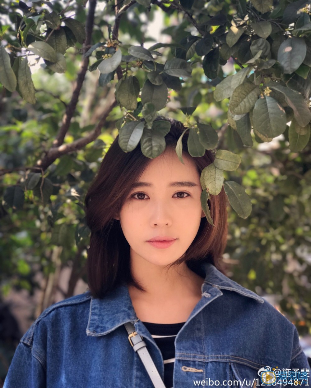 王子咖啡店韓笑扮演者施予斐個人資料、寫真生活照