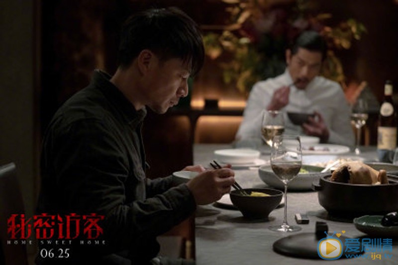 秘密訪客劇情介紹