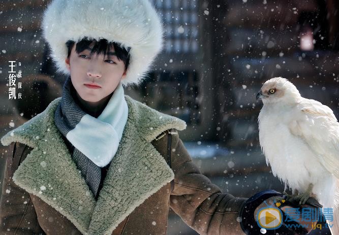 天坑鷹獵鷹屯在哪？獵鷹人訓鷹為了什麼？