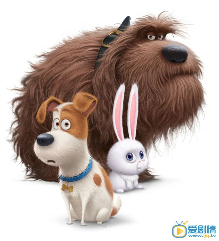 寵物的秘密生活什麼時間播_寵物的秘密生活播出時間