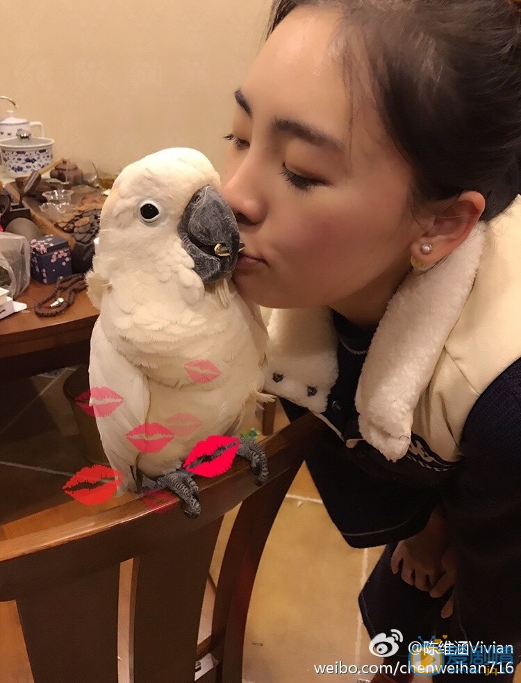 絕密543楊碩扮演者陳維涵圖片