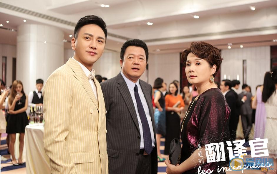 親愛的翻譯官劇情介紹 劇照