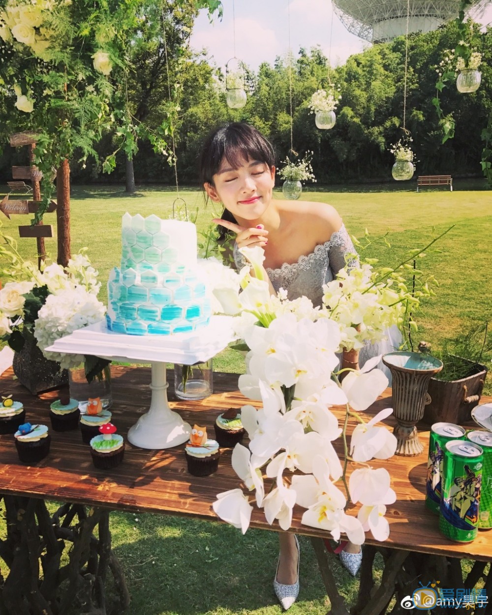 如懿傳中葉赫那拉意歡是誰演的?葉赫那拉意歡扮演者陳昊宇個人資料、寫真及生活照欣賞