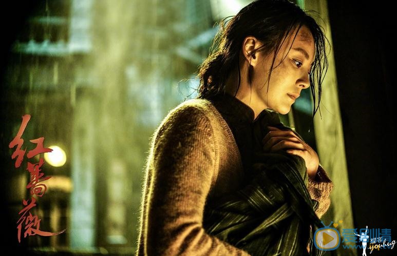 紅薔薇顧霜菊真實身份是什麼？顧霜菊為什麼黑化？