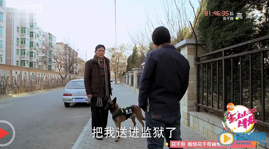 神犬小七霹靂是怎么死的？神犬小七霹靂死亡原因揭秘