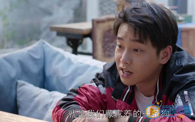 都挺好石天冬化身護妻狂魔，看到蘇明玉被欺負就炸毛