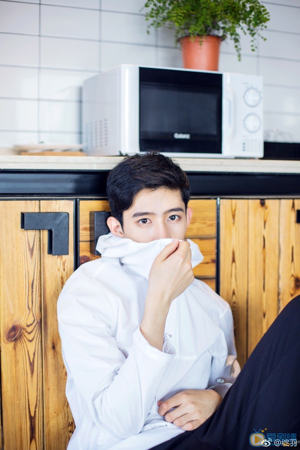 戀愛先生小程皓少年程皓是誰扮演的？小程皓少年程皓扮演者戰宇個人資料、寫真及生活照欣賞