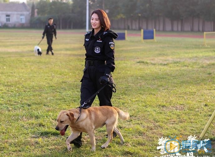 警花與警犬劇情介紹 警花與警犬劇照