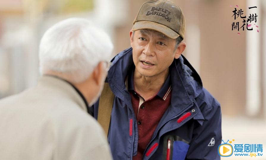 一樹桃花開劇情介紹