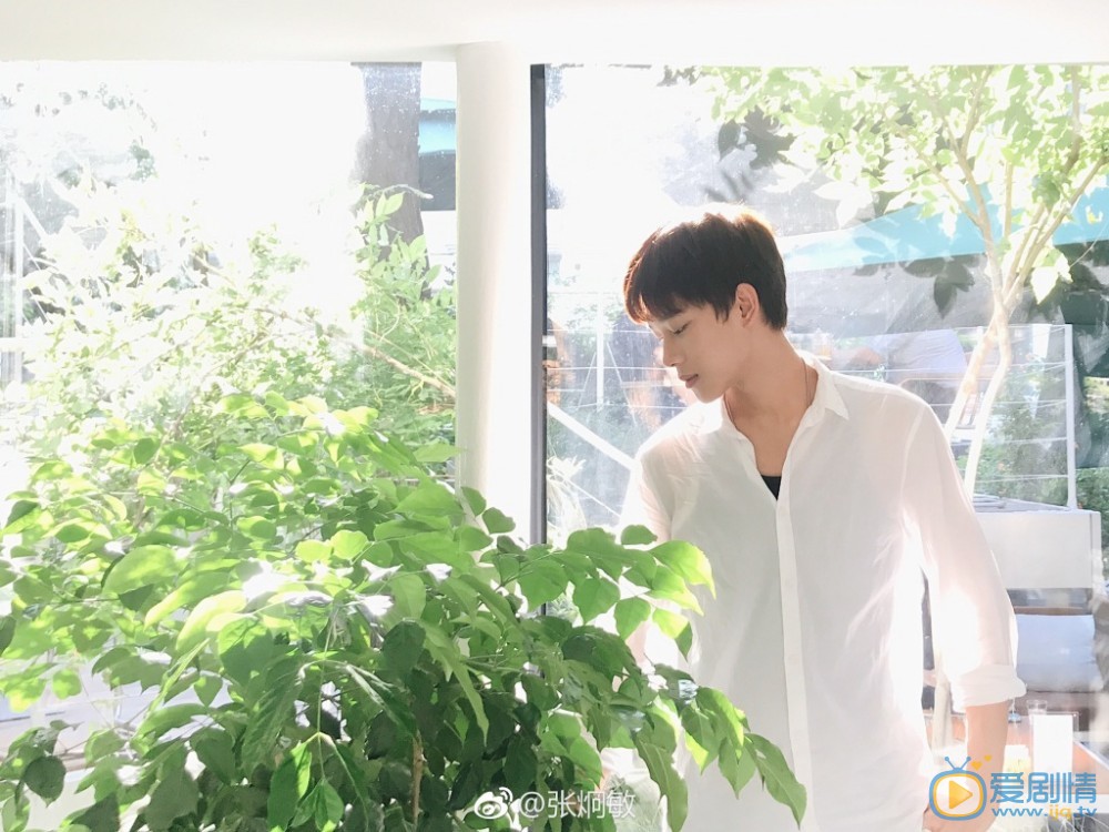 張炯敏個人寫真 張炯敏個人資料