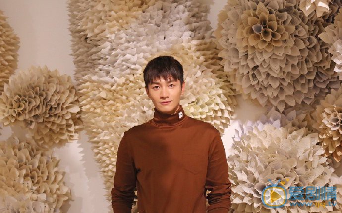 金澤個人演藝經歷