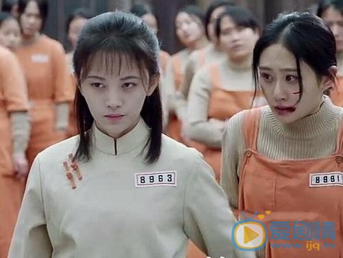 請賜我一雙翅膀林九歌為何要幫小白菜？