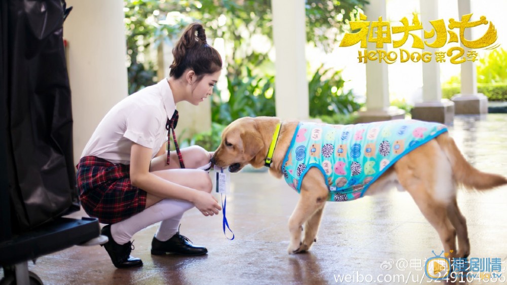  神犬小七2PK麻辣變形記看王洋深情演繹與狗狗們之間的感情  王洋《神犬小七2》劇照