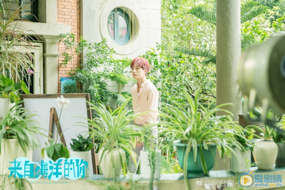 來自海洋的你什麼時間播_來自海洋的你播出時間