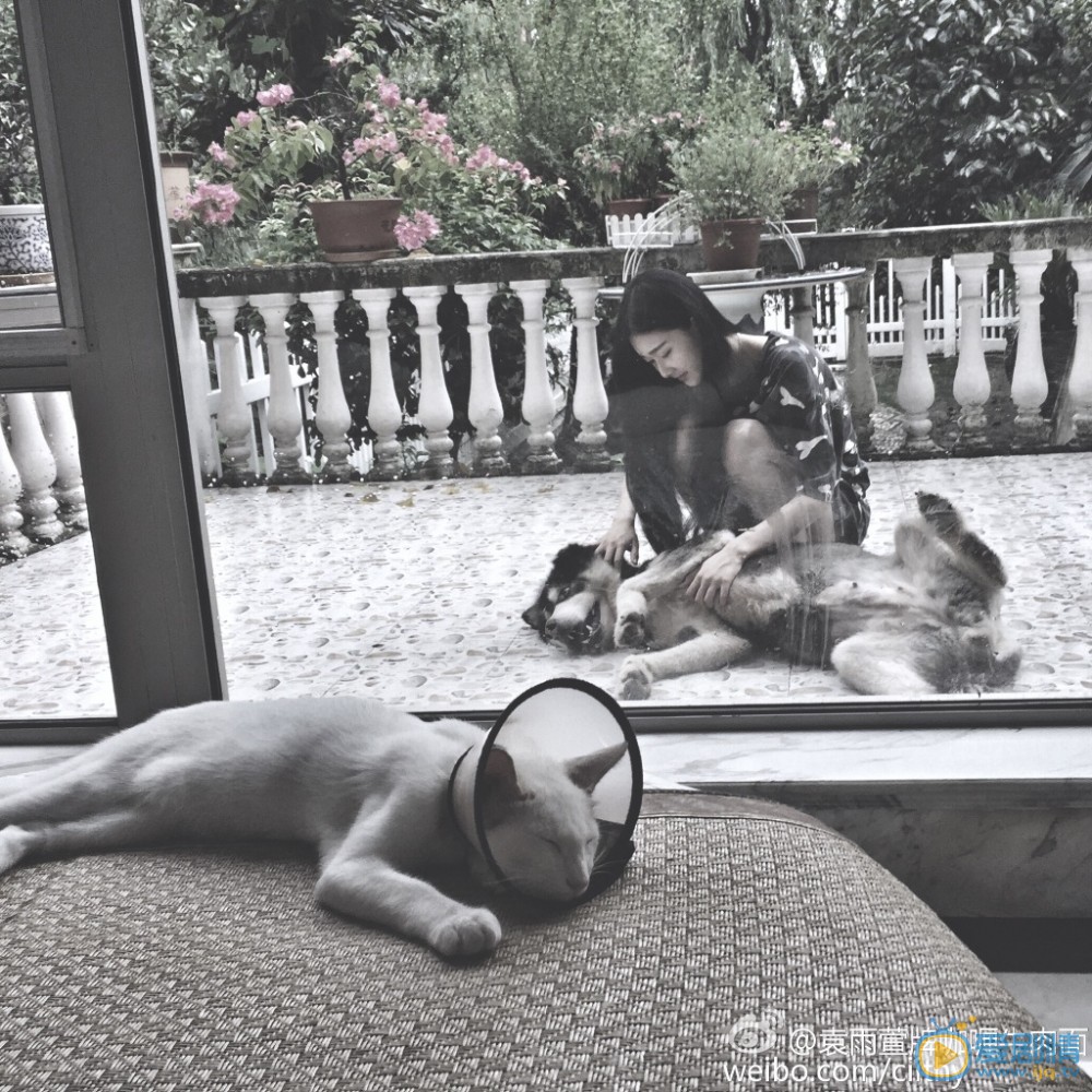 袁雨萱家庭背景 袁雨萱個人經歷