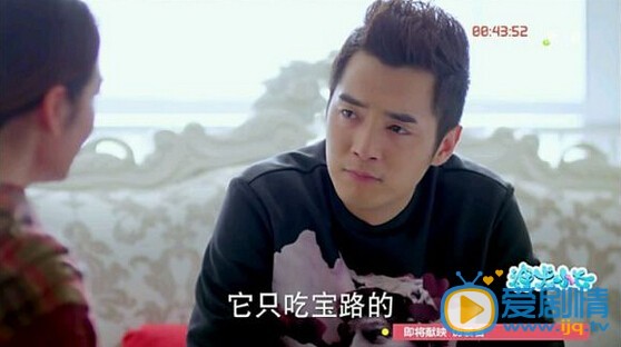 神犬小七植入廣告大盤點