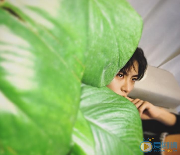 擇天記莊換羽是誰演的？莊換羽扮演者宇梁個人資料介紹