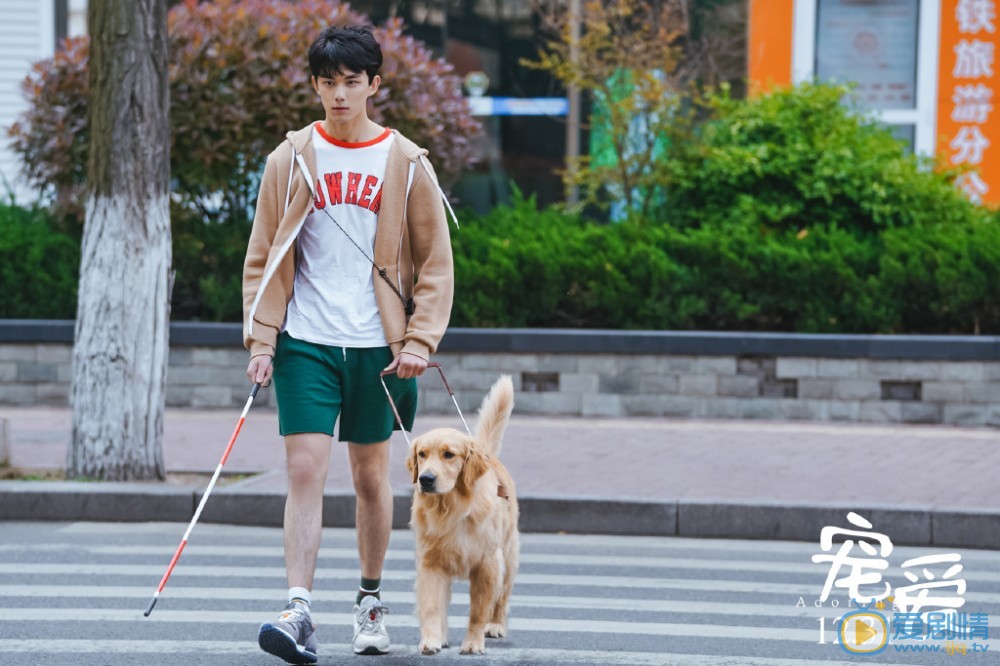 《寵愛》電影劇情介紹