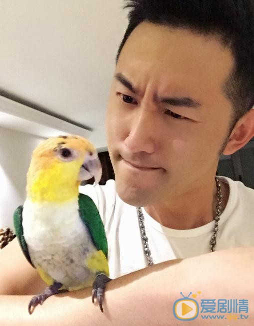 天盛長歌姚揚宇是誰演的？姚揚宇扮演者毛毅個人資料、寫真及生活照欣賞